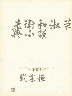 老卫和淑荣的经典小说