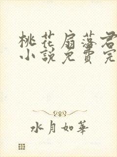 桃花扇落君不还小说免费完整版