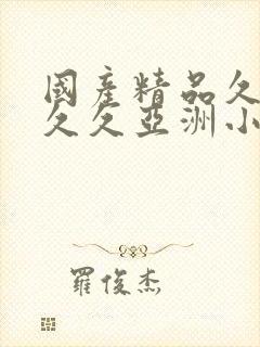 国产精品久久久久久亚洲小说