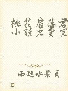 桃花扇落君不还小说免费完整版