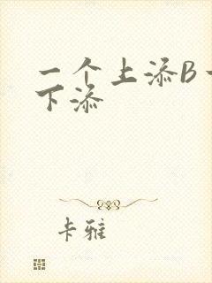 一个上添B一个下添