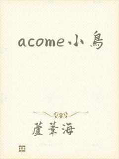 acome小鸟