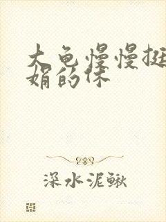 大龟慢慢挺进张娟的休