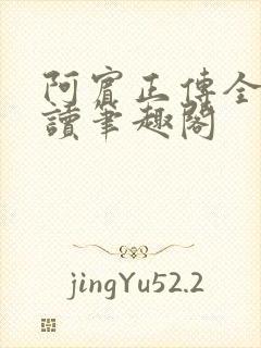 阿宾正传全文阅读笔趣阁