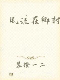 风流在乡村