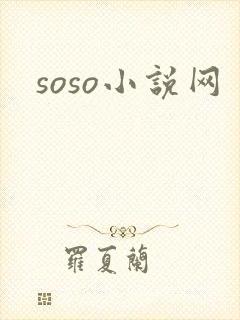 soso小说网