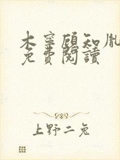 木宁顾知胤小说免费阅读