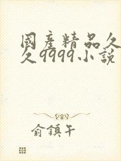 国产精品久久久久9999小说