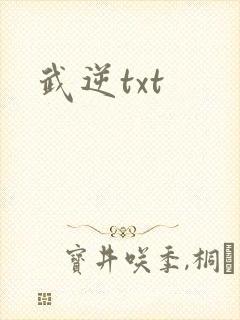 武逆txt封面