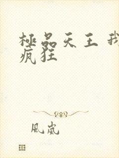 极品天王 我本疯狂