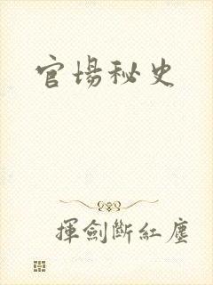 官场秘史