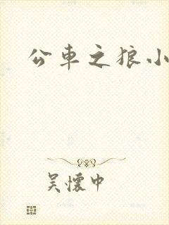 公车之狼小说