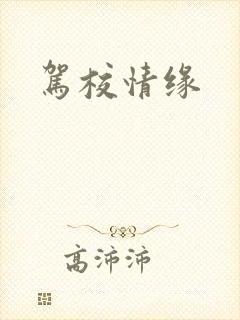 《驾校情缘》小说封面