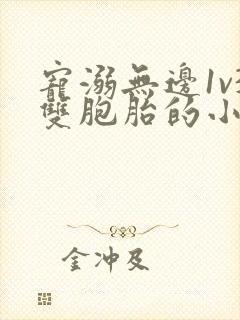 宠溺无边1v3双胞胎的小说