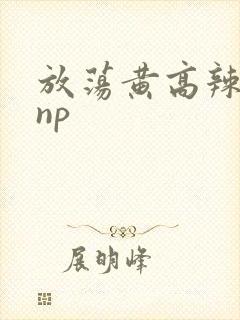 放荡黄高辣h文np