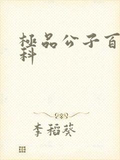 极品公子百度百科
