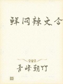 鲜网辣文合集