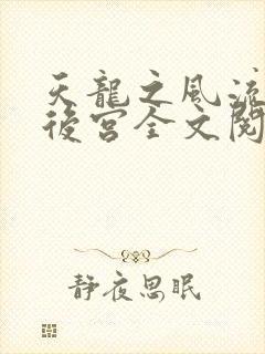 天龙之风流猎艳后宫全文阅读