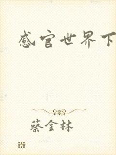 感官世界下载