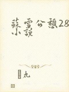 苏雪公憩28篇小说