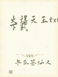 火爆天王txt下载