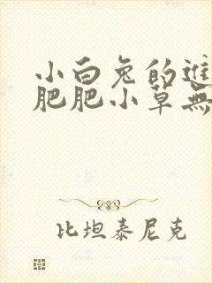 小白兔的进化史肥肥小草无防盗