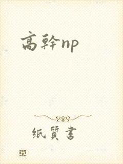 高干np