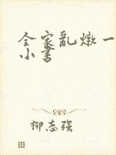 全家乱炖一锅烩小书