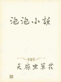 泡泡小说