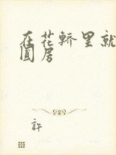 在花轿里就开始圆房