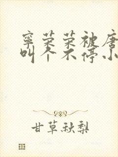 宁荣荣被唐三桶叫个不停小说