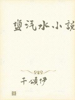 盐汽水小说