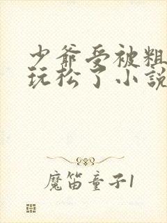 少爷受被粗汉H玩松了小说