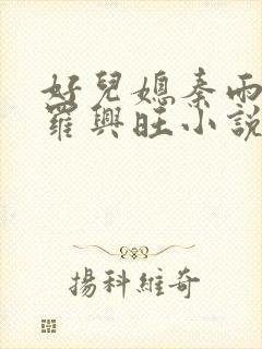 好儿媳秦雨罗明罗兴旺小说