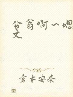 公翁啊～嗯啊h文