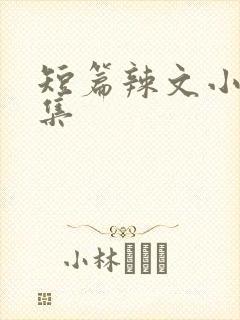 短篇辣文小说合集