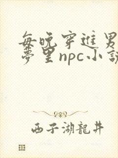 每晚穿进男神的梦里npc小说