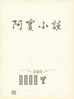 阿宾小说