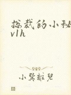 总裁的小秘书1v1h