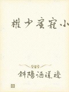 权少蜜宠小娇妻