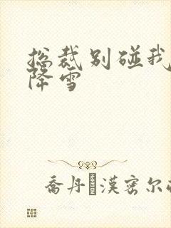 总裁别碰我 韩降雪