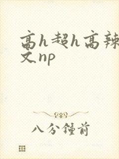 高h超h高辣h文np