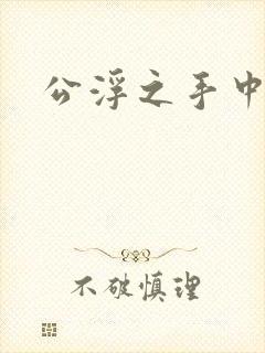 公浮之手中字5
