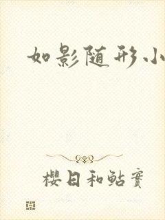 如影随形小说