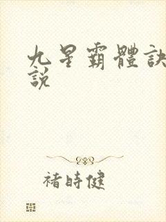 九星霸体诀 小说