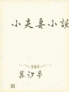 小夫妻小说