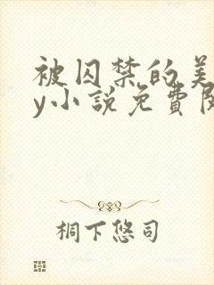 被囚禁的美人by小说免费阅读