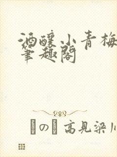 酒酿小青梅po笔趣阁
