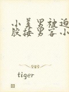 小美男被迫卖屁股接男客小说