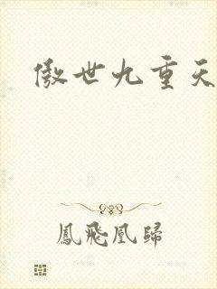 傲世九重天小说